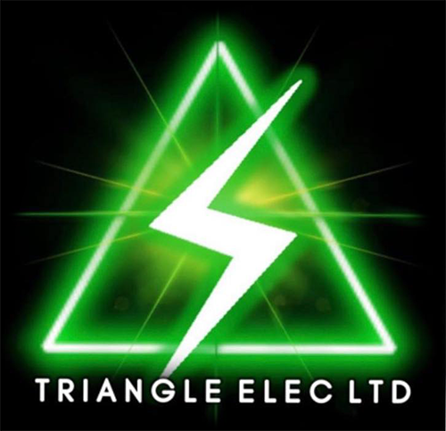 Triangle Elec Ltd logo